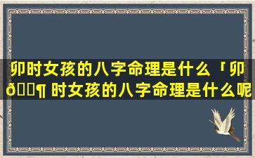 卯时女孩的八字命理是什么「卯 🐶 时女孩的八字命理是什么呢」